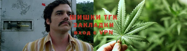 гидра Балахна